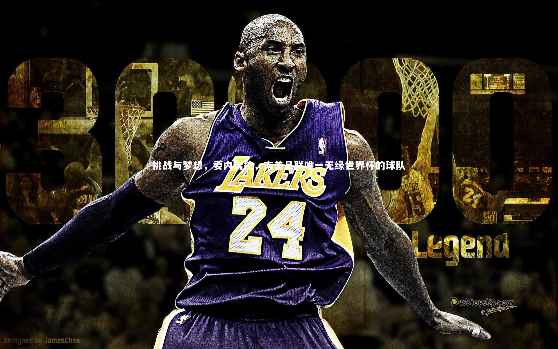 挑战与梦想，委内瑞拉，南美足联唯一无缘世界杯的球队